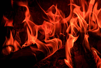 A close-up of bright orange flames dancing against a dark background, capturing the raw energy of fire.