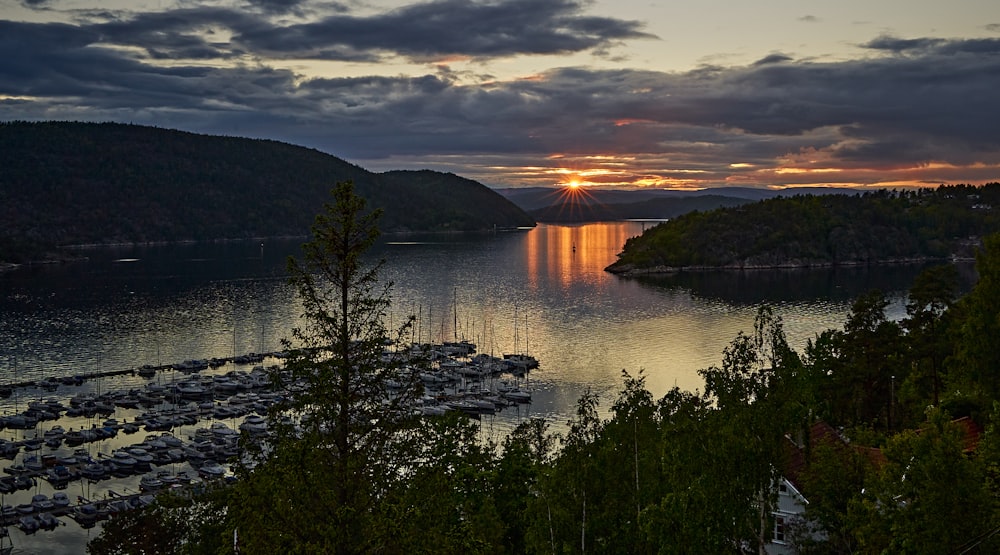 herbe verte près du lac au coucher du soleil