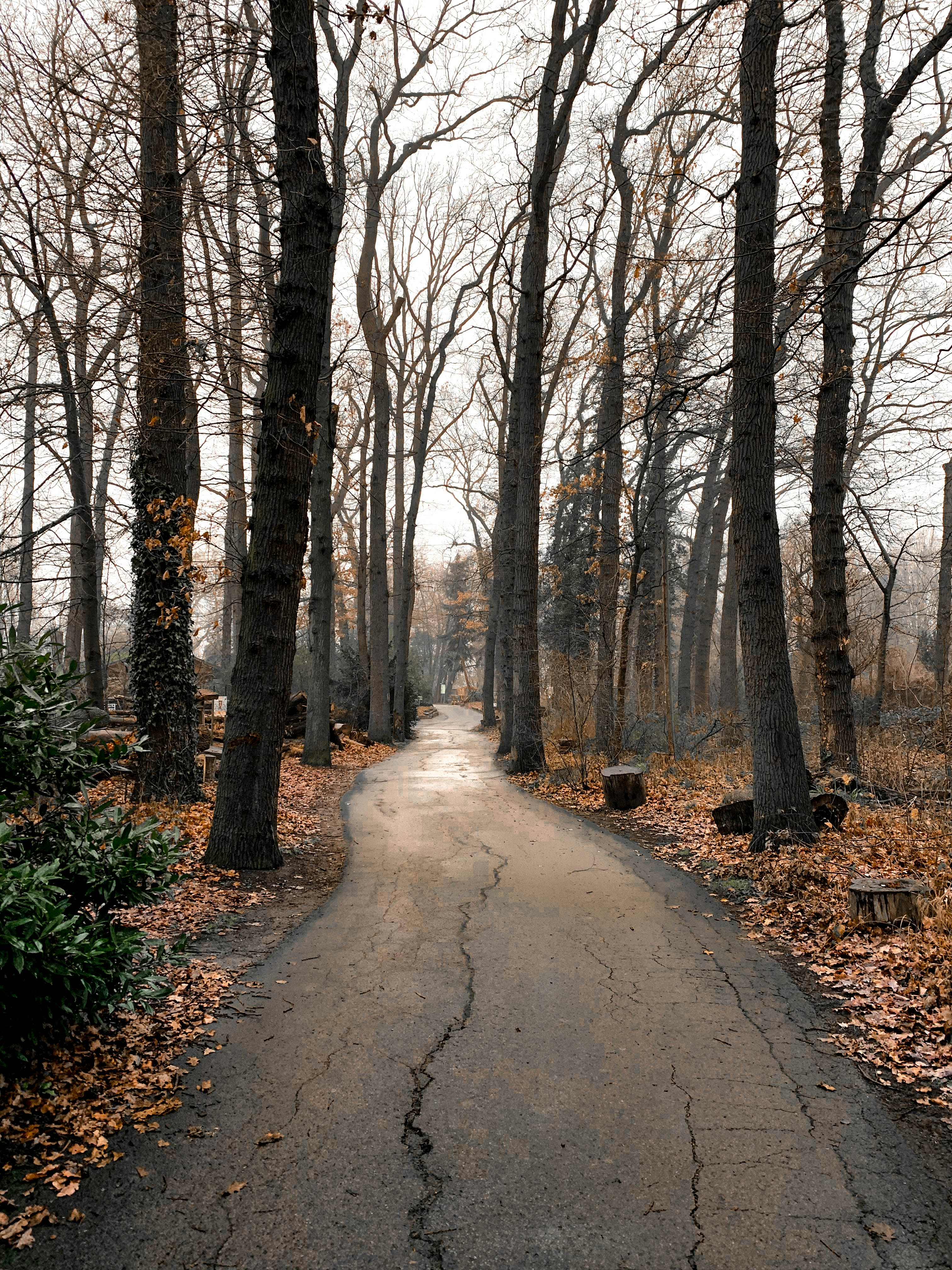 Photo by omarvellous14