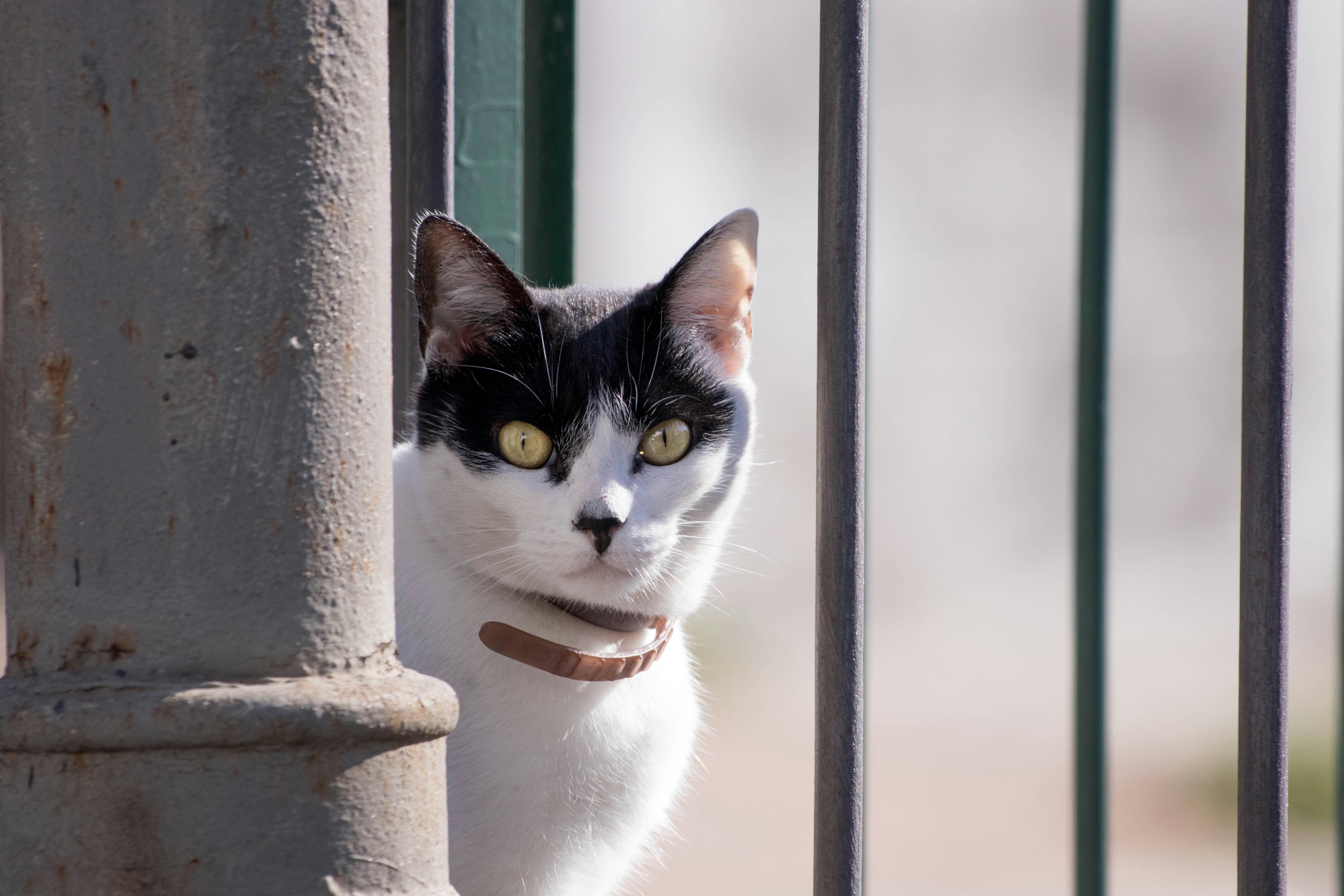 Photo by sonianadales