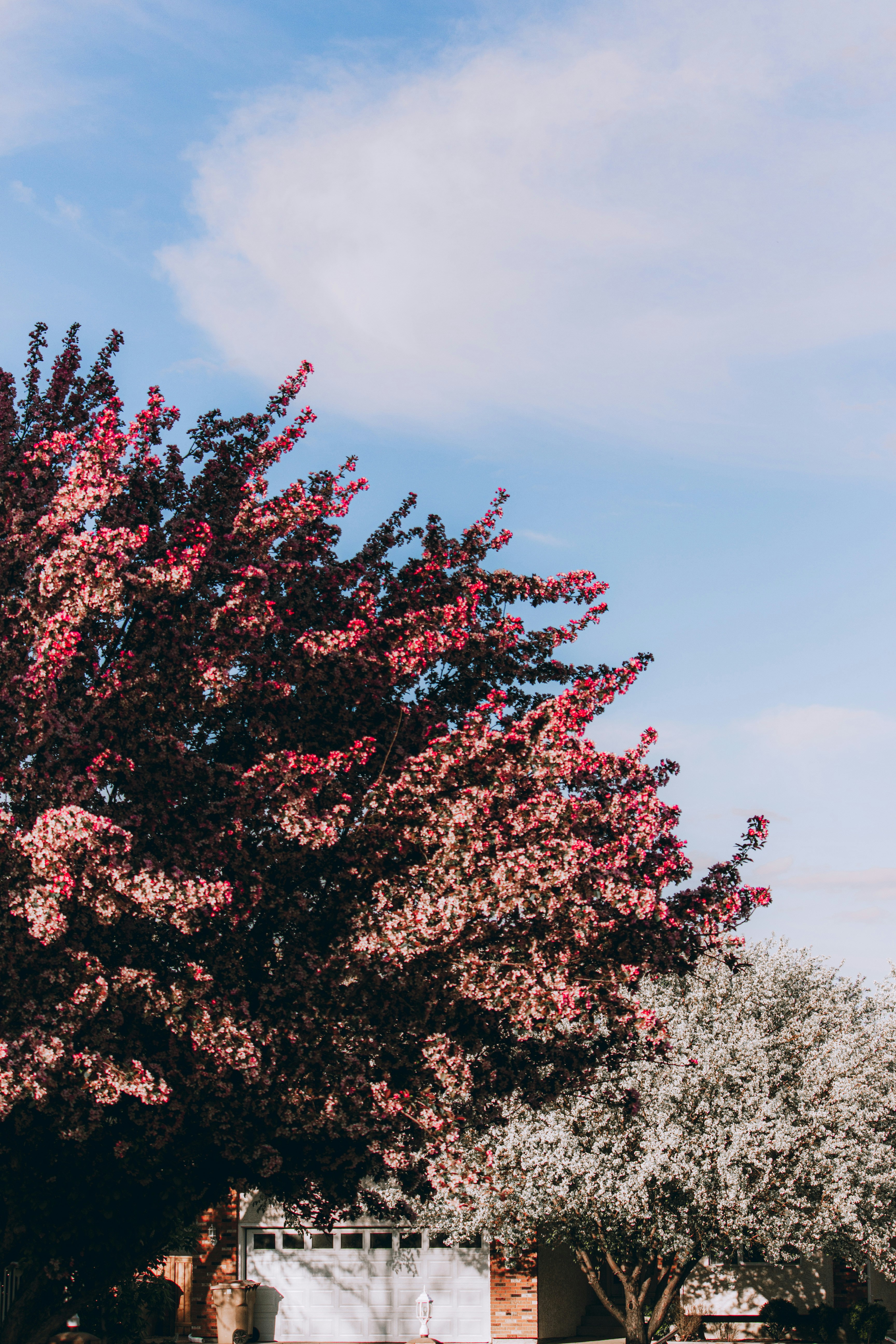 Photo by marselojur1