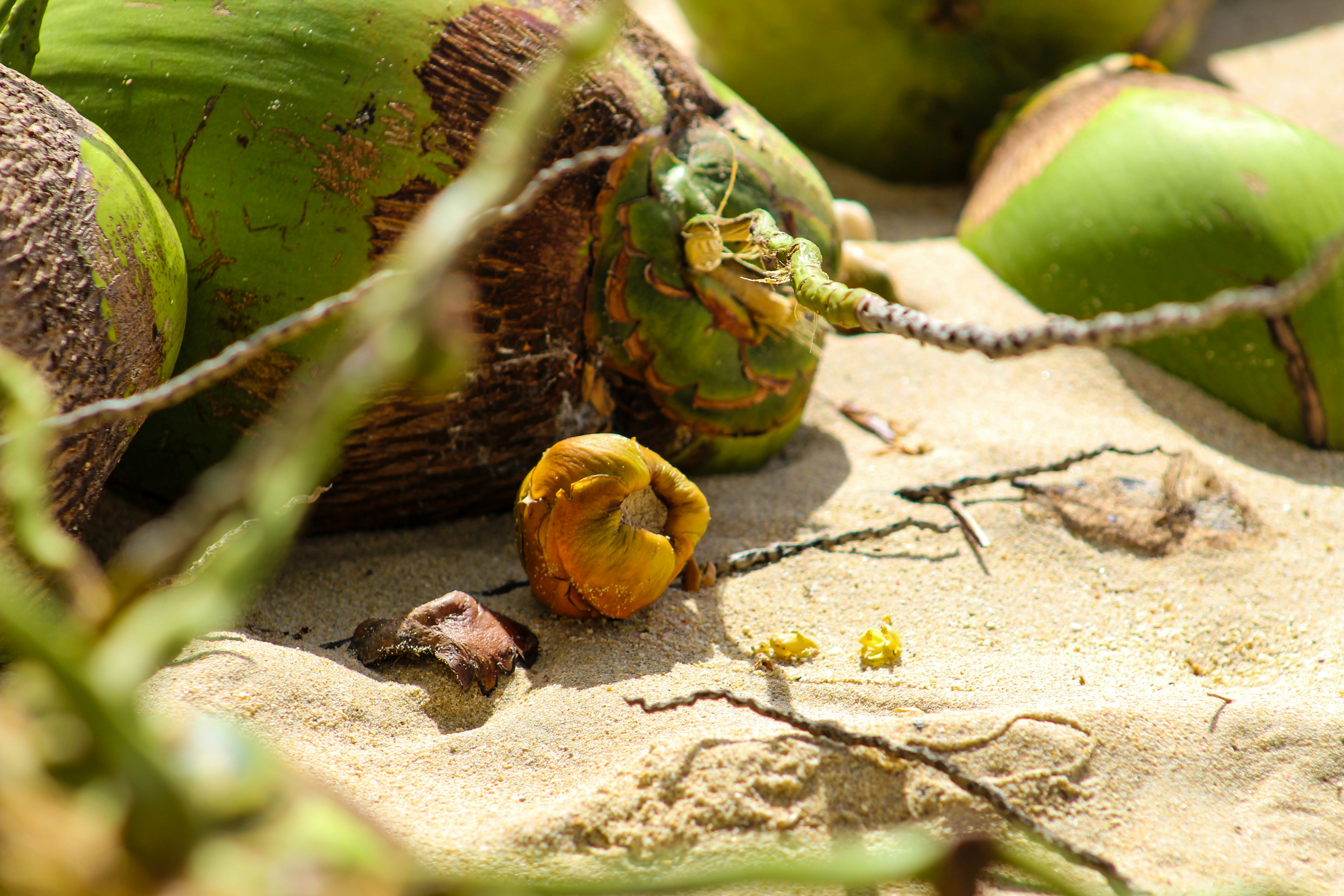 Sélection de fruits tropicaux frais présentés sur une table en bois locale