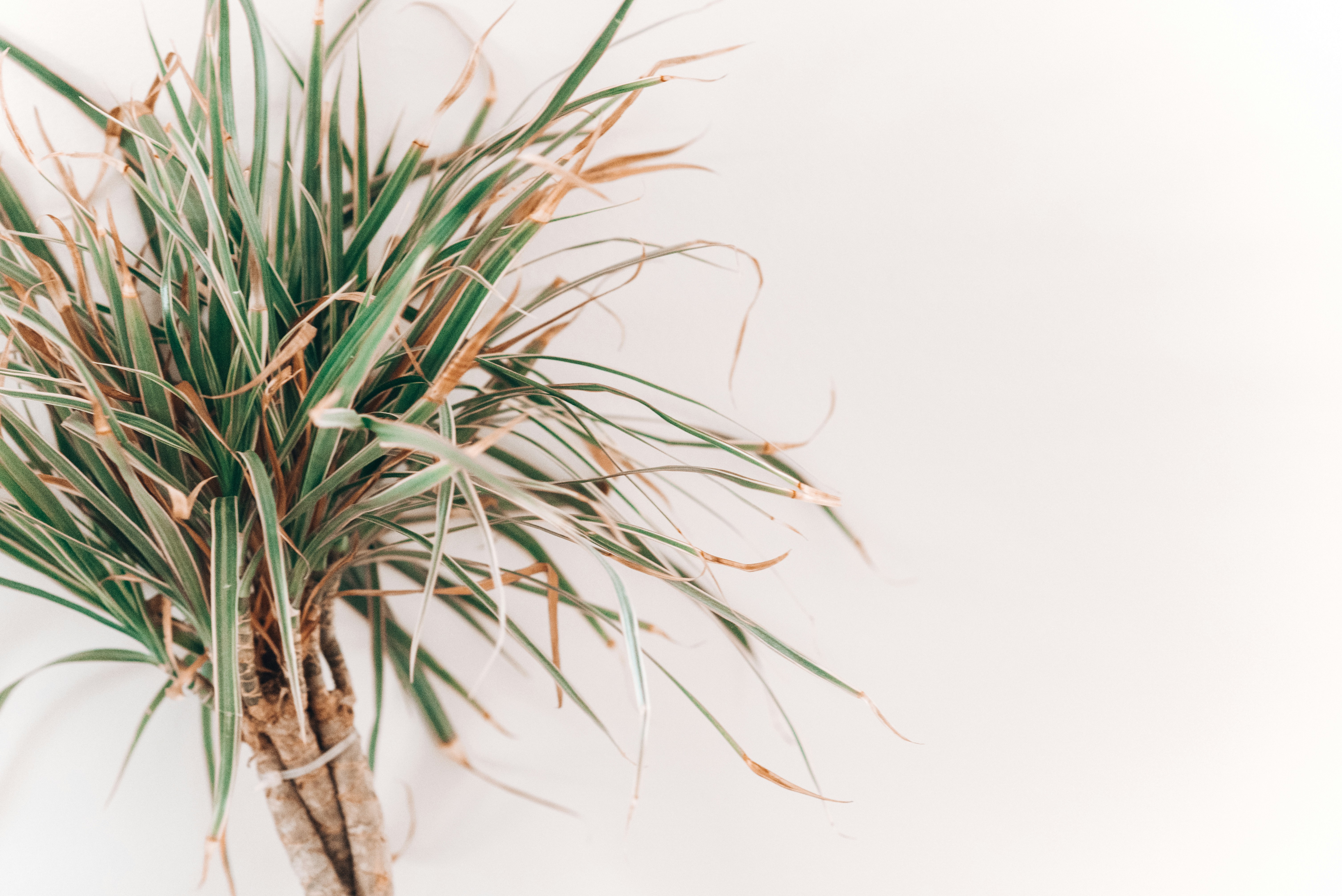 Photo by kolbymilton