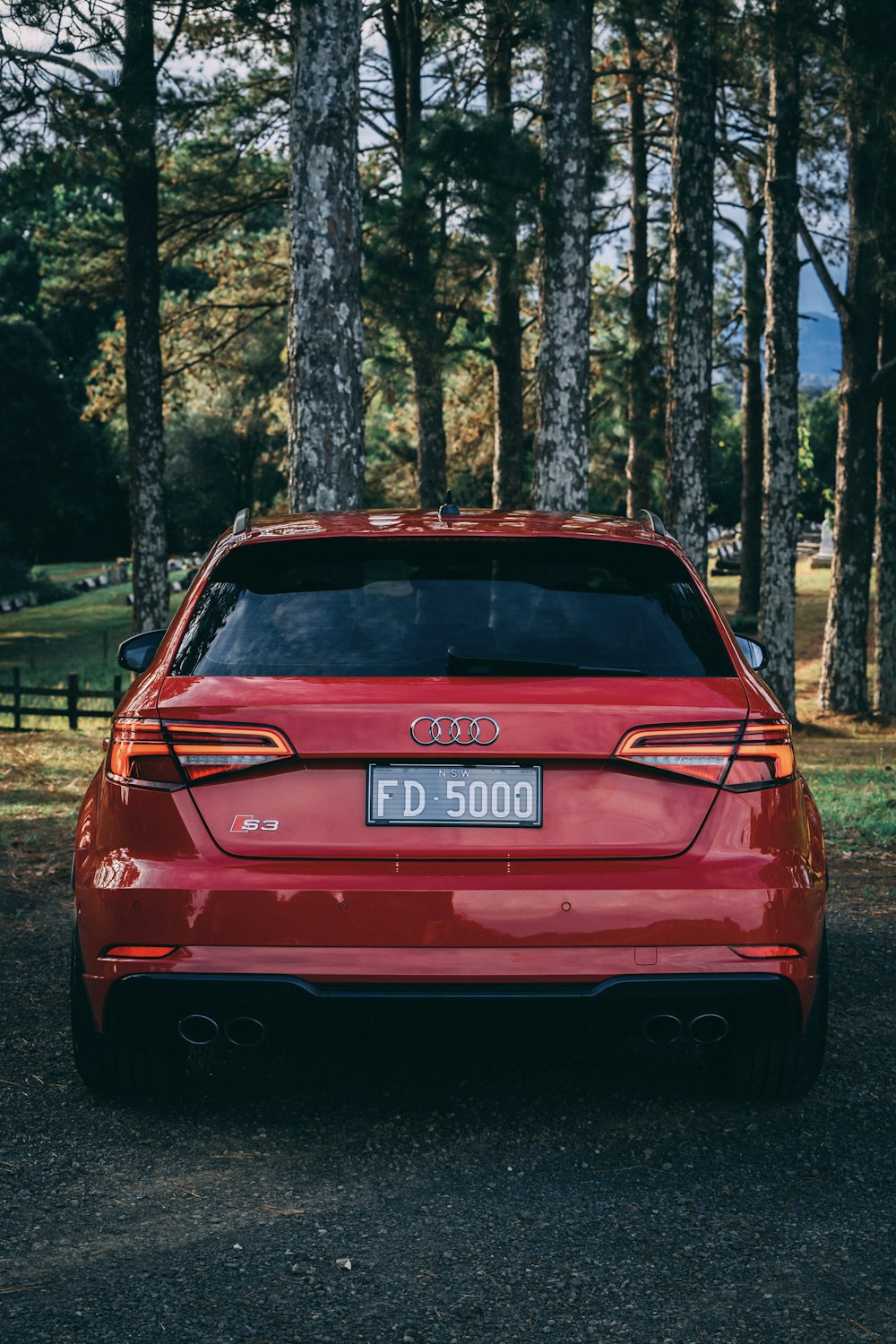 red bmw m 3 parked on the woods