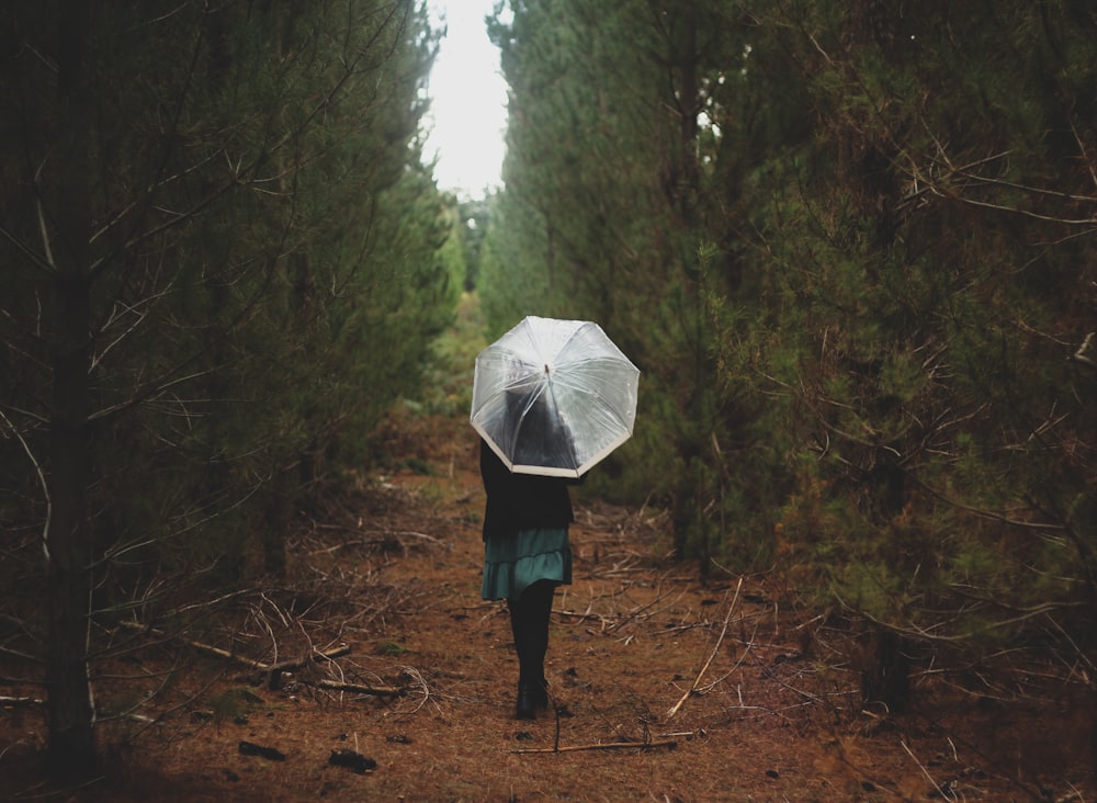 person in black jacket holding umbrella walking on forest during daytime