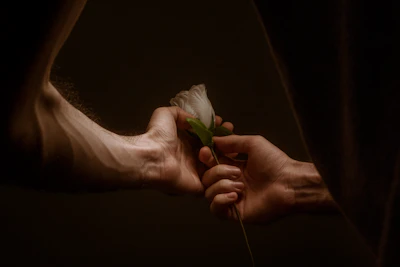 Close-up of hands exchanging a gift bathed in warm, natural sunlight.