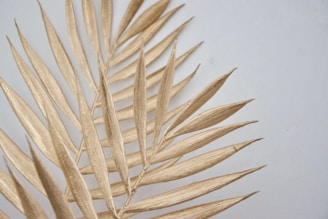 Golden, dried palm leaves are arranged on a light background, showcasing detailed textures and linear patterns of the fronds.