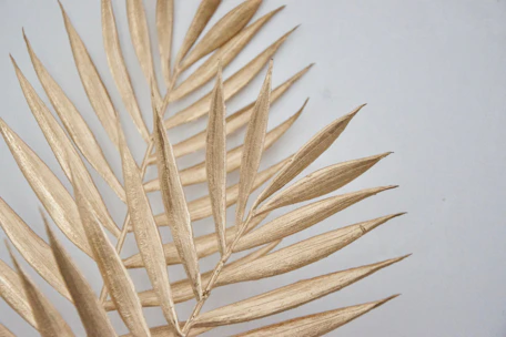 Close-up of premium dates and palm leaves arranged artfully on a warm beige background.