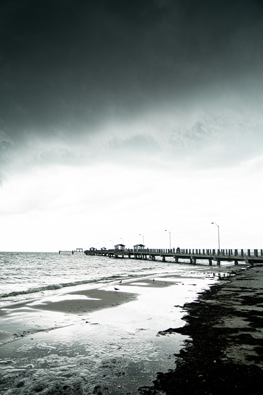 a black and white photo of a beach and pier