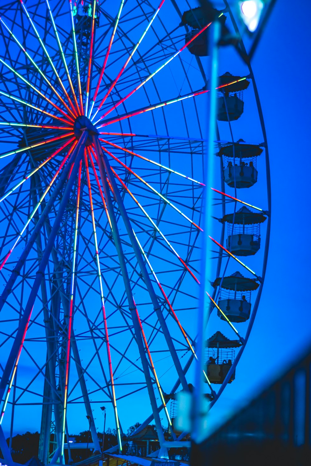 blue and red ferris wheel
