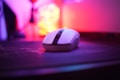 A wireless computer mouse is placed on a surface with a soft-focus background featuring colorful lights, creating a vibrant and modern atmosphere. The sharp focus on the mouse contrasts with the blurred, glowing bokeh lights in shades of pink, purple, and yellow.