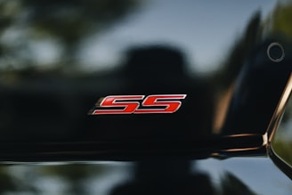 A shiny black surface prominently displays a red emblem with the letters 'SS' in a bold, stylized font. The background is blurred with hints of green, suggesting an outdoor setting.