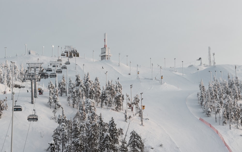 people walking on snow covered field during daytime