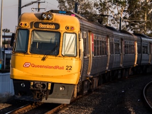 A yellow Queensland Rail train with the destination sign indicating Beenleigh is traveling on a track surrounded by trees. The train is in motion, with multiple carriages visible, and is captured in warm sunlight, casting shadows on its surface.