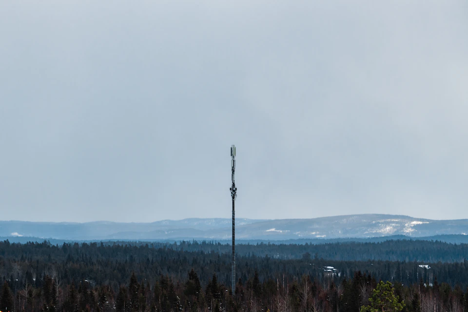 The image depicts a serene landscape with a tall, gray metal pole standing alone on the right side. The pole is surrounded by an expanse of trees and shrubs, creating a sense of depth and distance. Beyond the immediate foreground, there are hills covered in snow that stretch out into the horizon, adding to the overall tranquility of the scene.