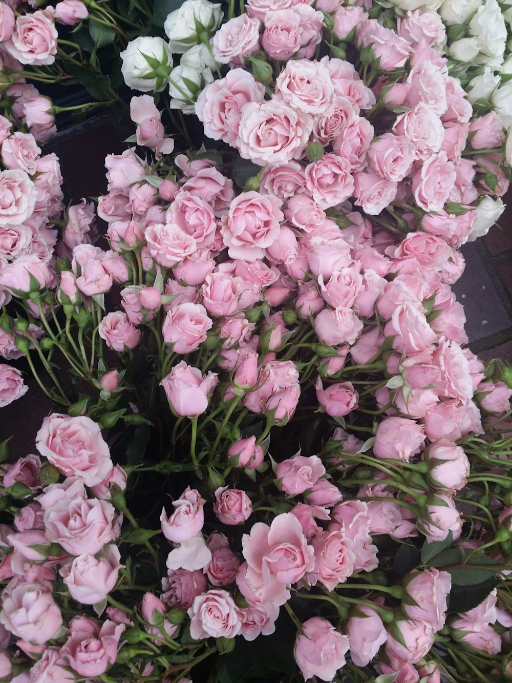 pink roses on black wooden table