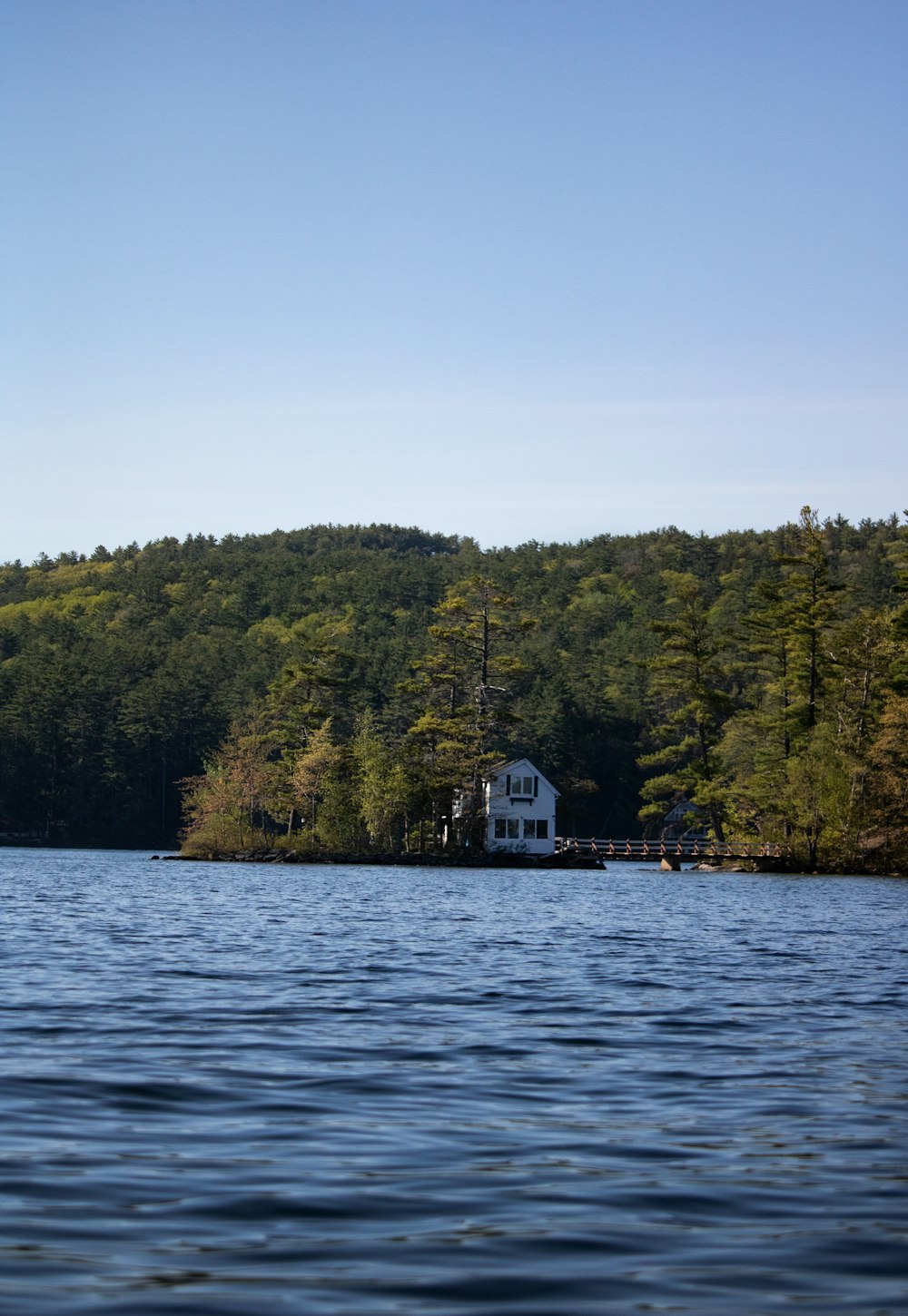 white and black house on green forest beside body of water during daytime