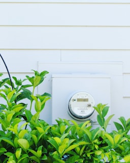 An analog utility meter is mounted on the exterior wall of a building. In front of the meter, there is a lush green shrub with broad leaves. The wall is covered with white siding, creating a clean and orderly background.