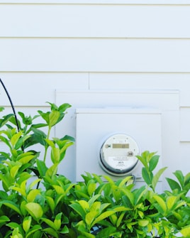 An analog utility meter is mounted on the exterior wall of a building. In front of the meter, there is a lush green shrub with broad leaves. The wall is covered with white siding, creating a clean and orderly background.