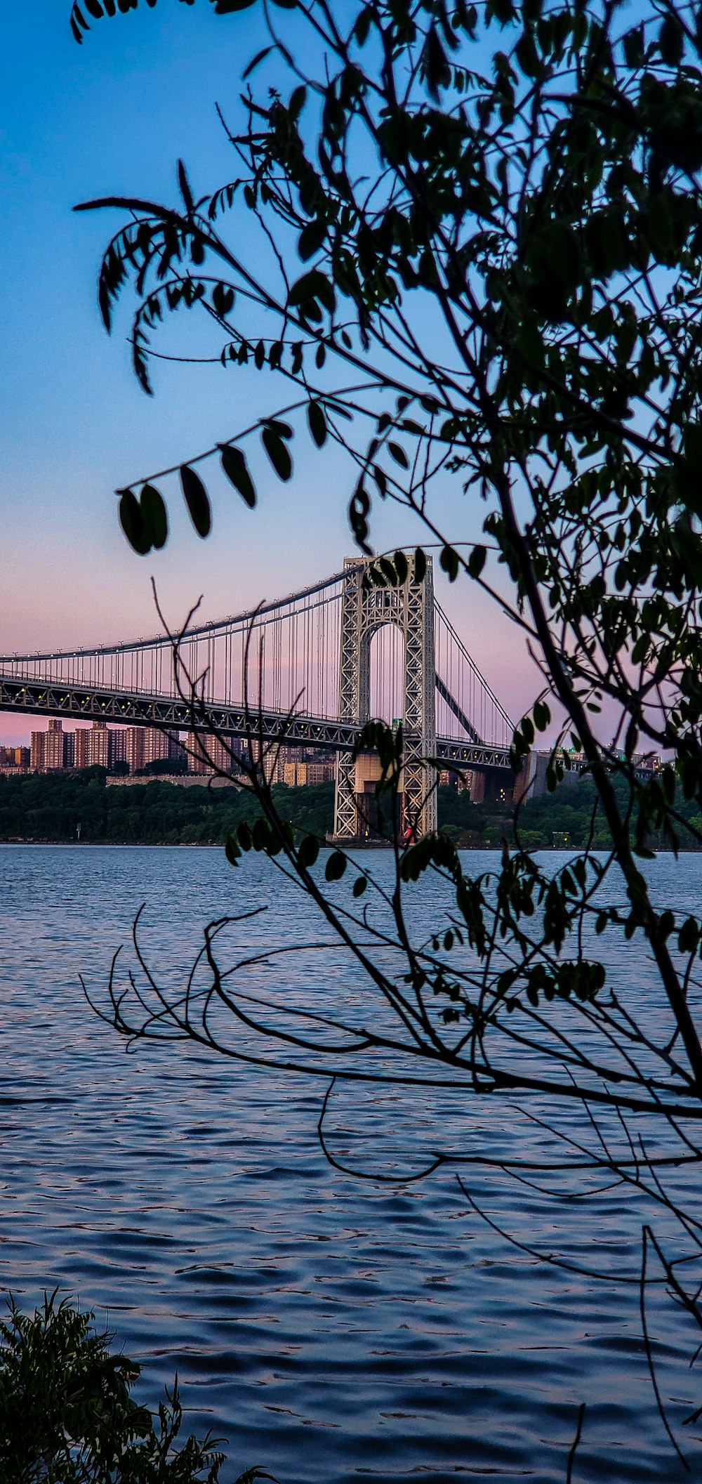 pont au-dessus de l’eau pendant la journée