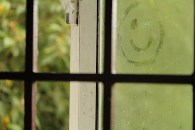 Smiling family watching freshly cleaned windows sparkle in the sunlight.