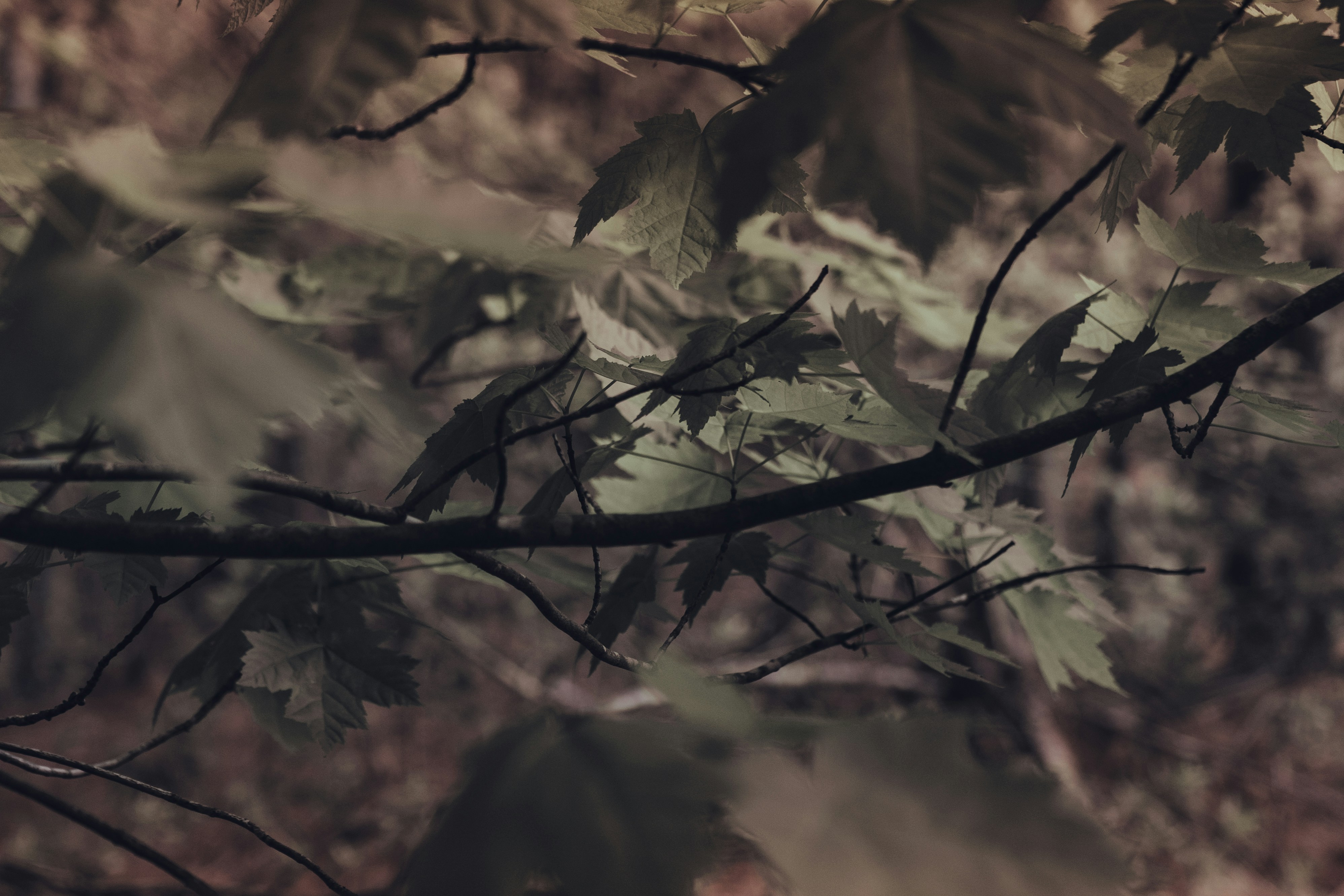 Photo by chrishardyphotography