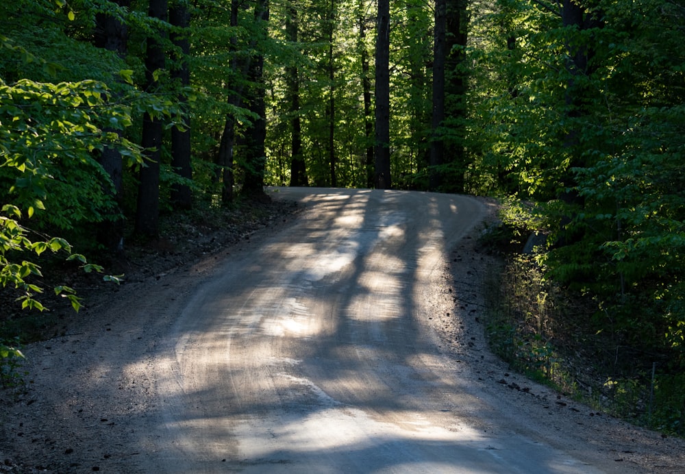 a dirt road in the middle of a forest