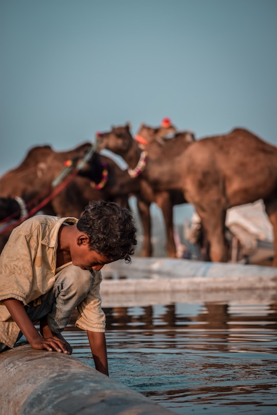 man in brown shirt standing beside brown horse during daytime in Pushkar India