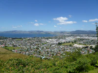 Best Local Markets in Rotorua for Food, Crafts, and Real Community Life