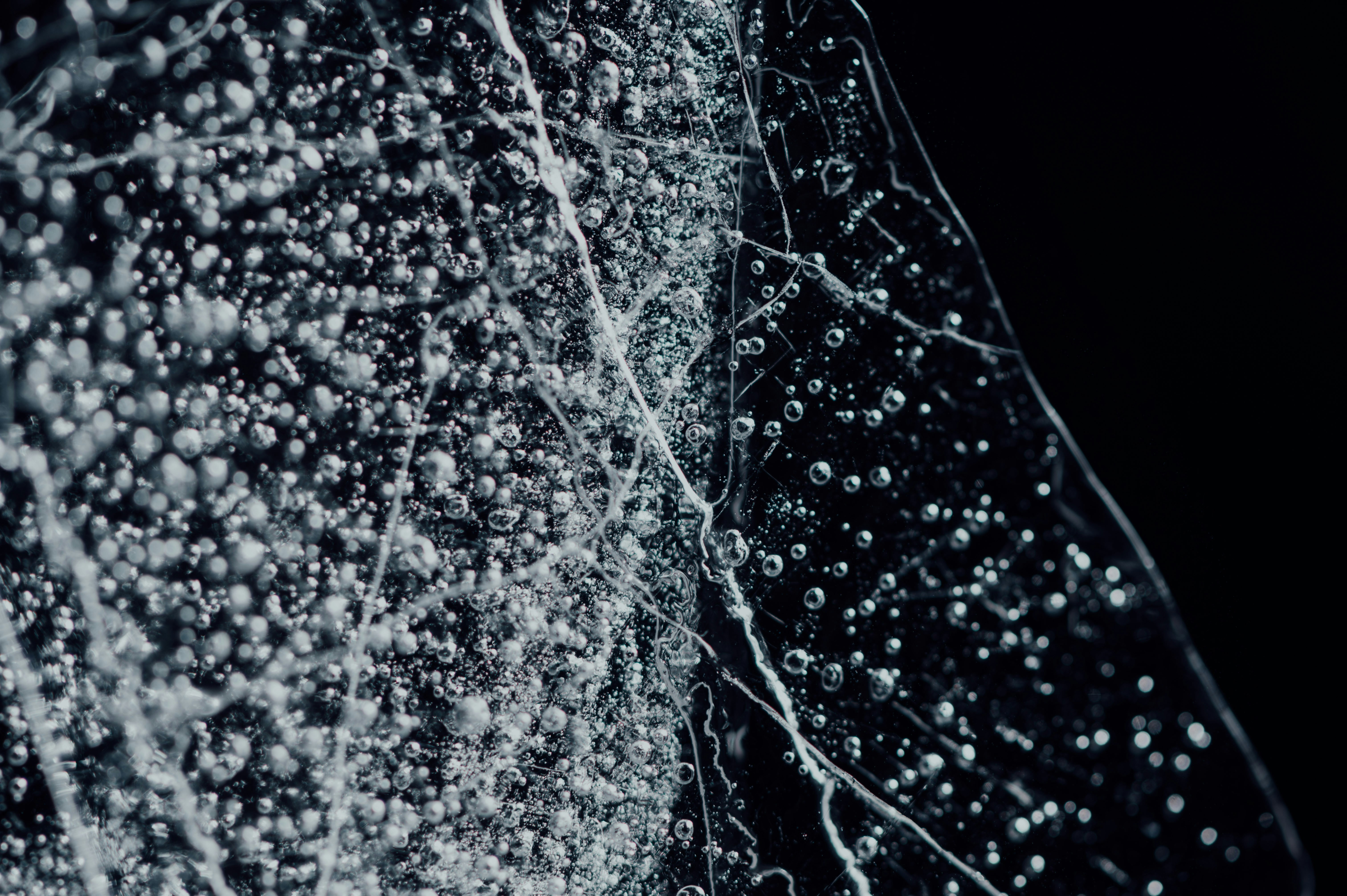 Photo by chuttersnap