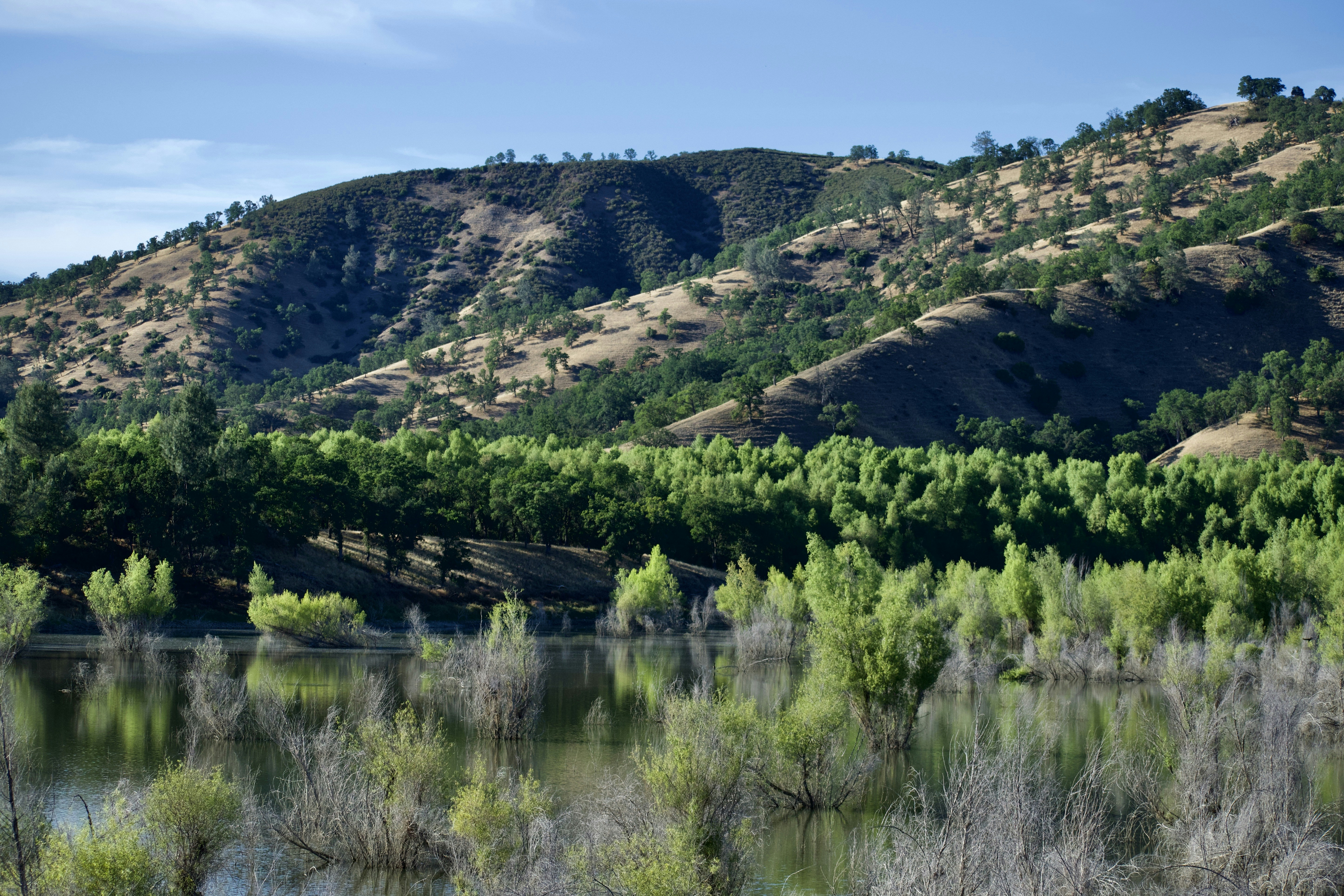 Photo by elisastonephotography