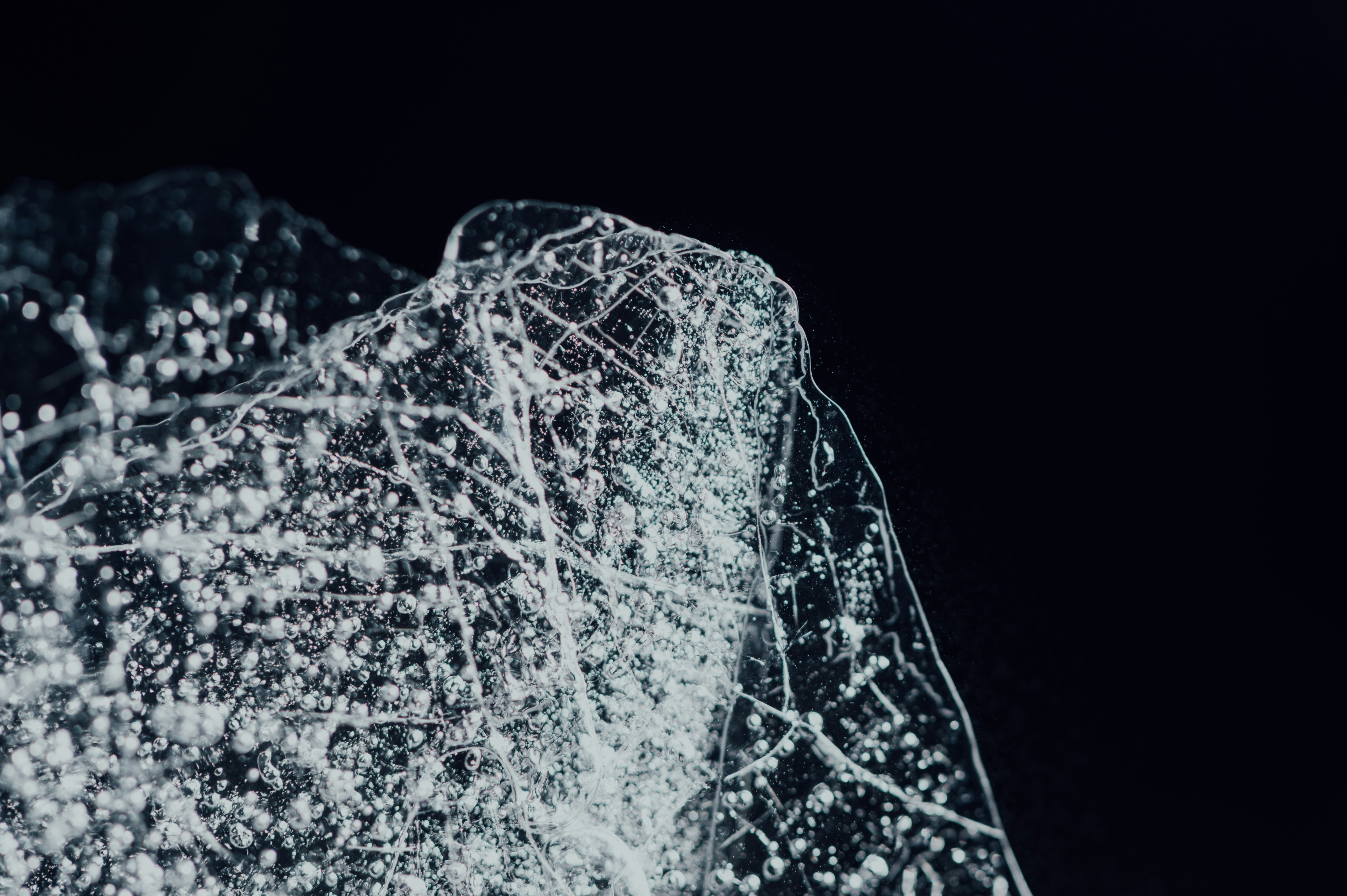 Photo by chuttersnap