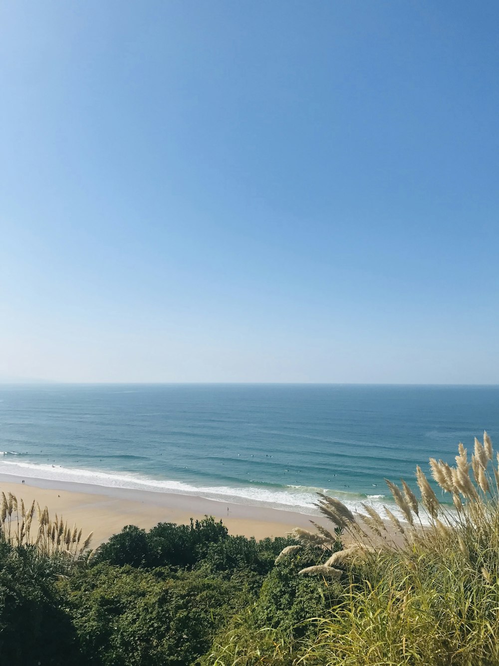 árvores verdes perto do mar azul sob o céu azul durante o dia