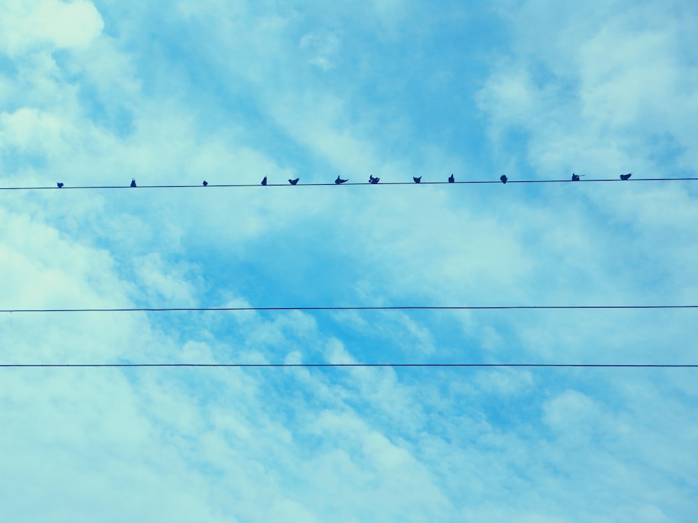 black electric wires under blue sky