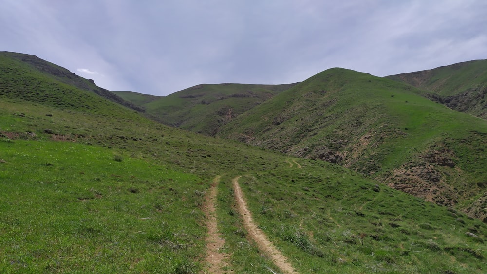 green grass field and mountain