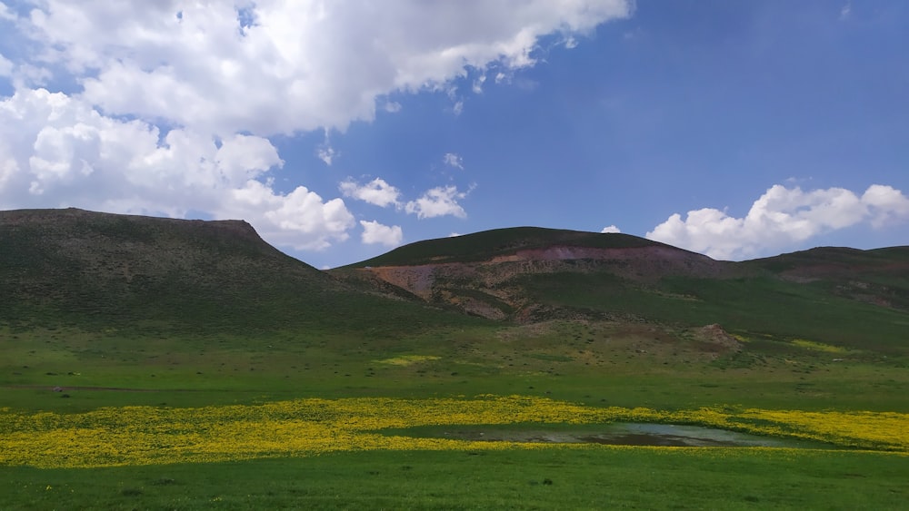 a green field with yellow flowers and mountains in the background