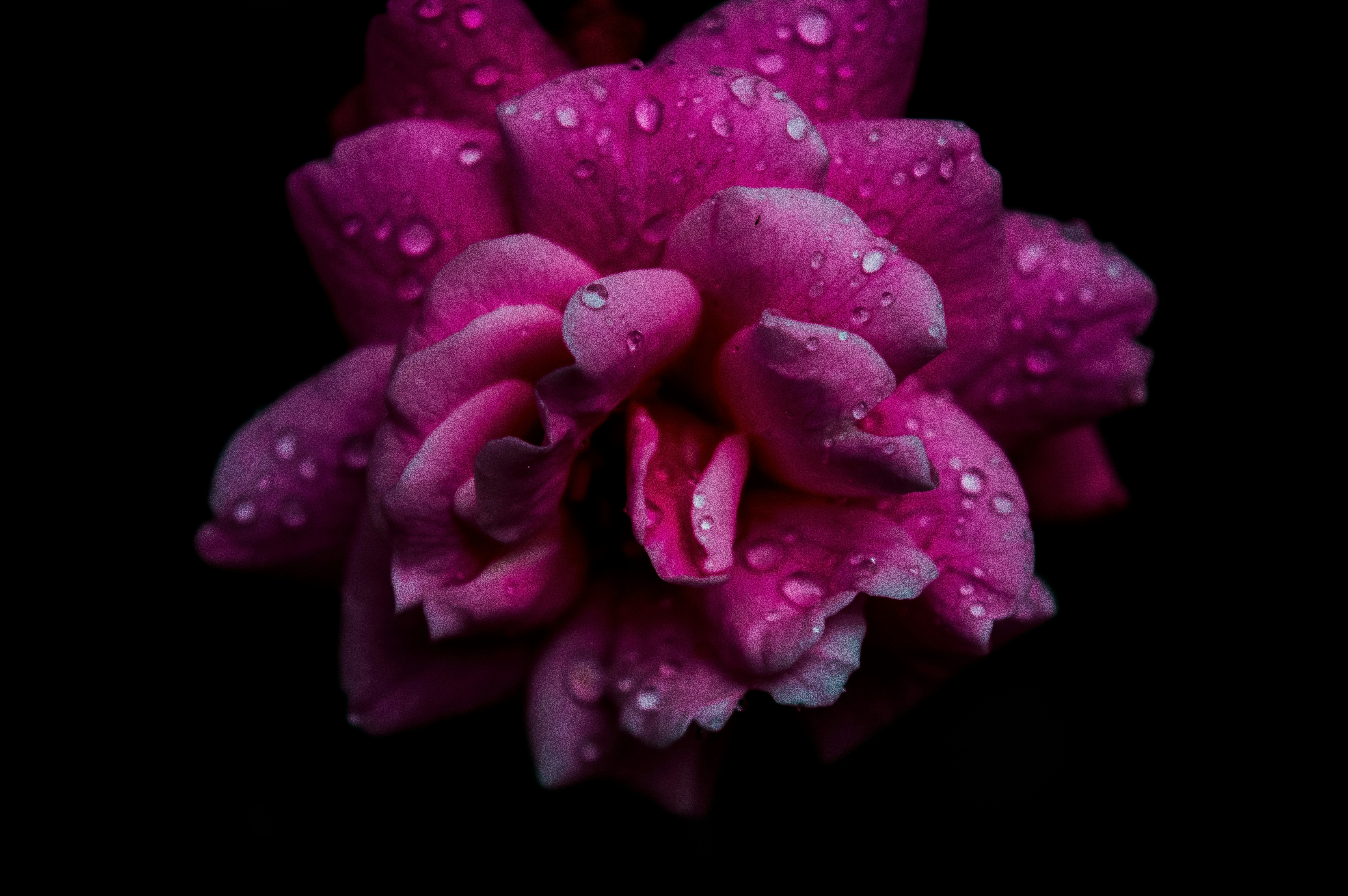 Photo by __lonographer__