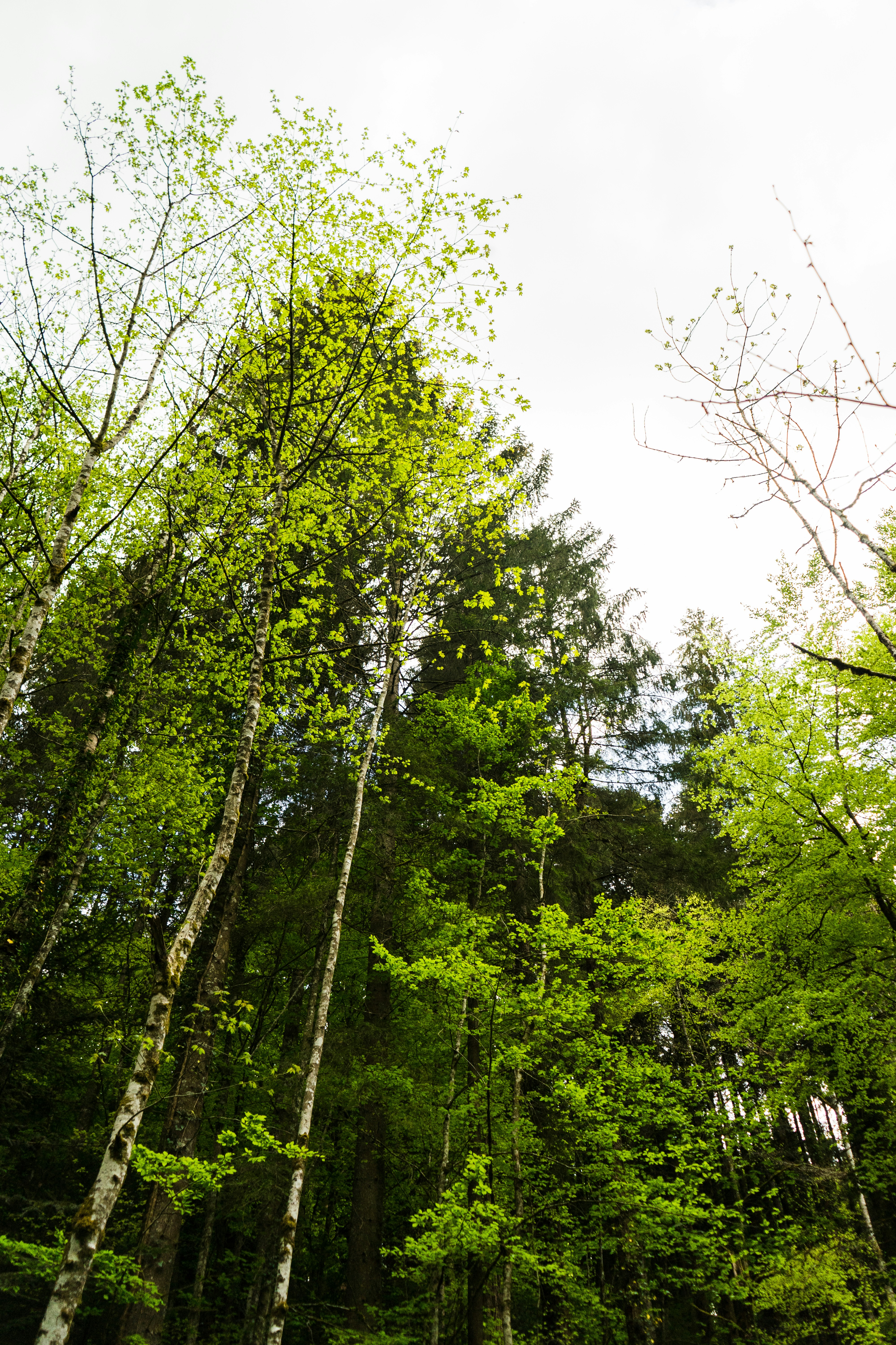 Photo by virussinside