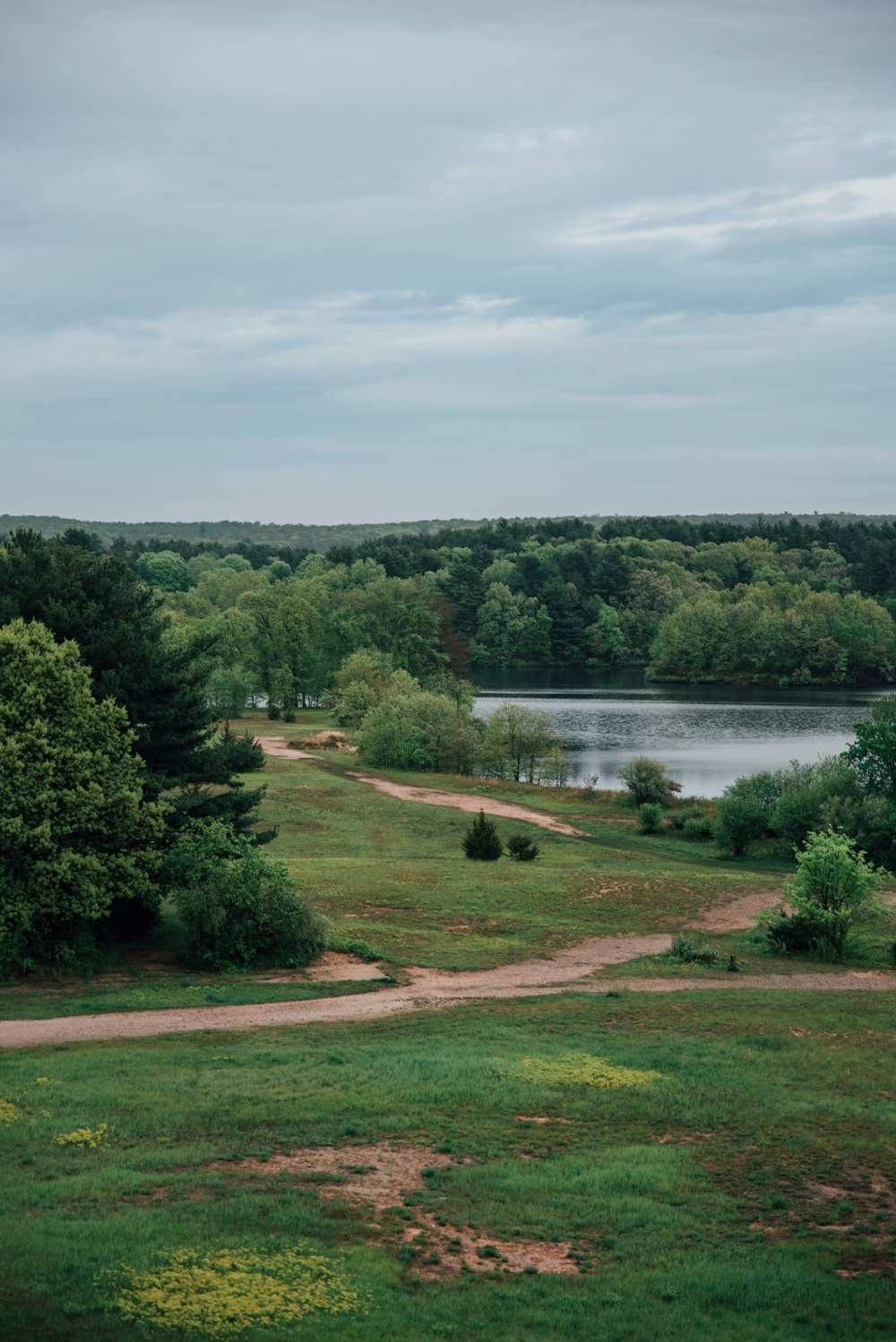 green trees near lake under white clouds during daytime