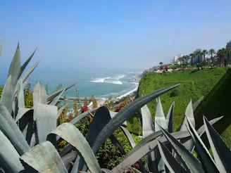 A scenic view of the Pedregal Acapulco location highlighting green spaces and nearby amenities.
