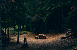 A rustic wooden table set up in a sunlit forest clearing, surrounded by camping gear and wildflowers.