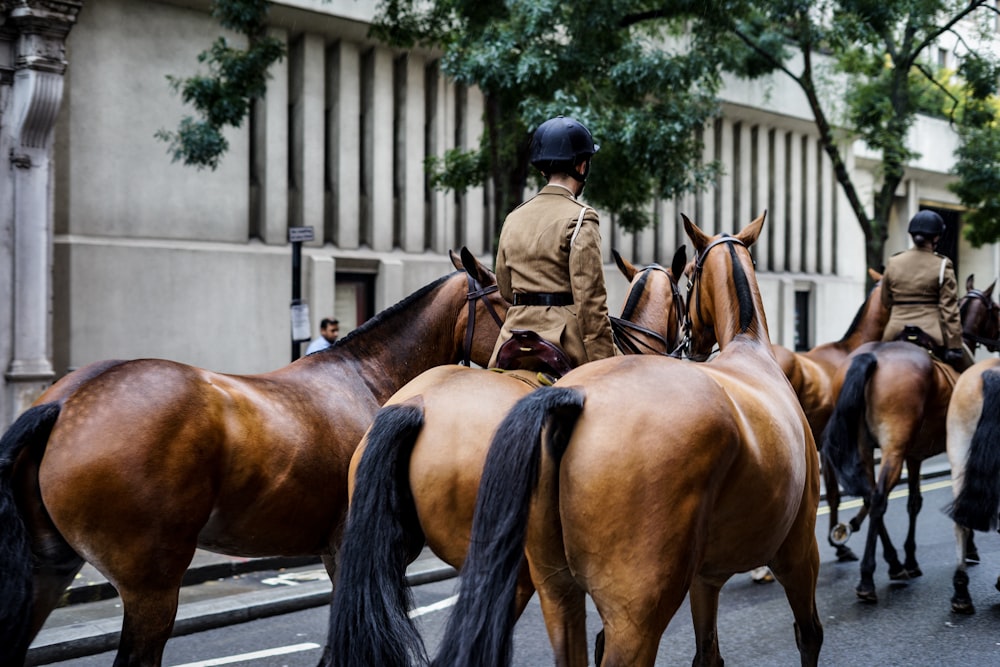 man in black and brown coat riding brown horse during daytime