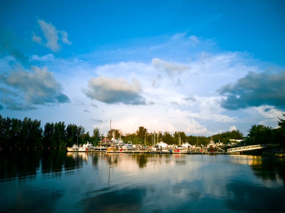 green trees beside body of water under blue sky and white clouds during daytime