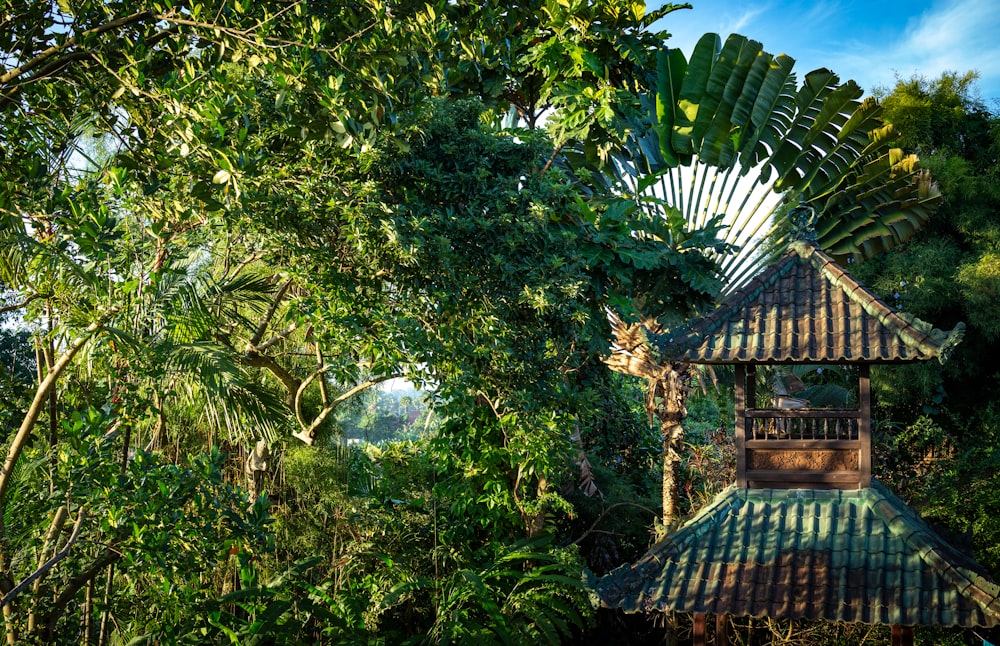 green trees near brown wooden house during daytime