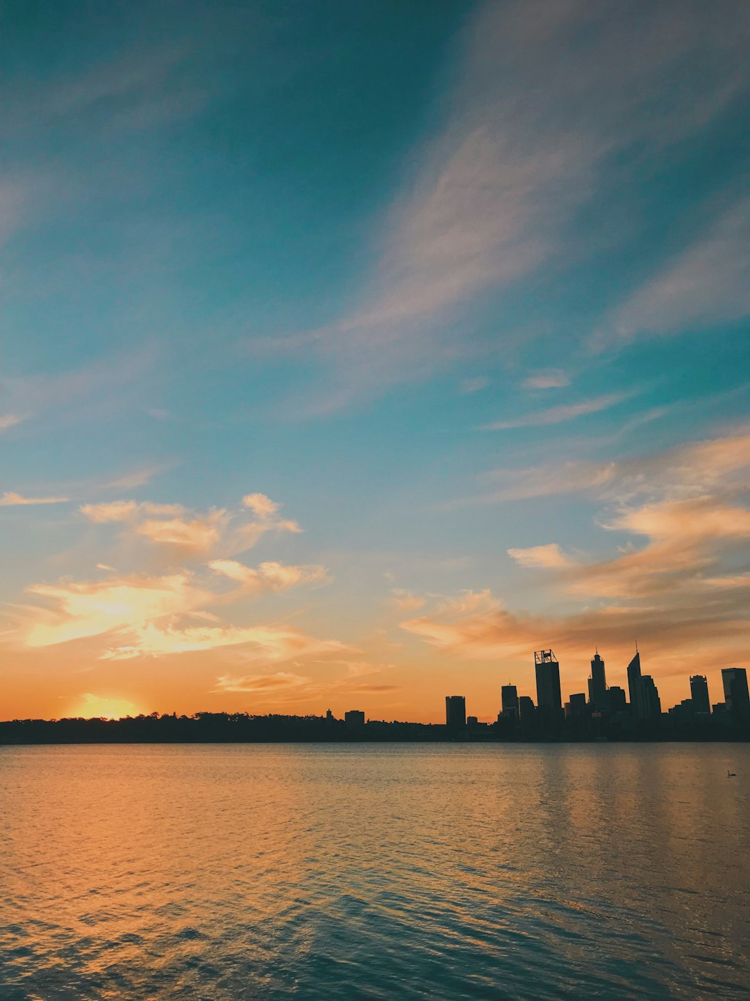 silhouette of city buildings near body of water during sunset