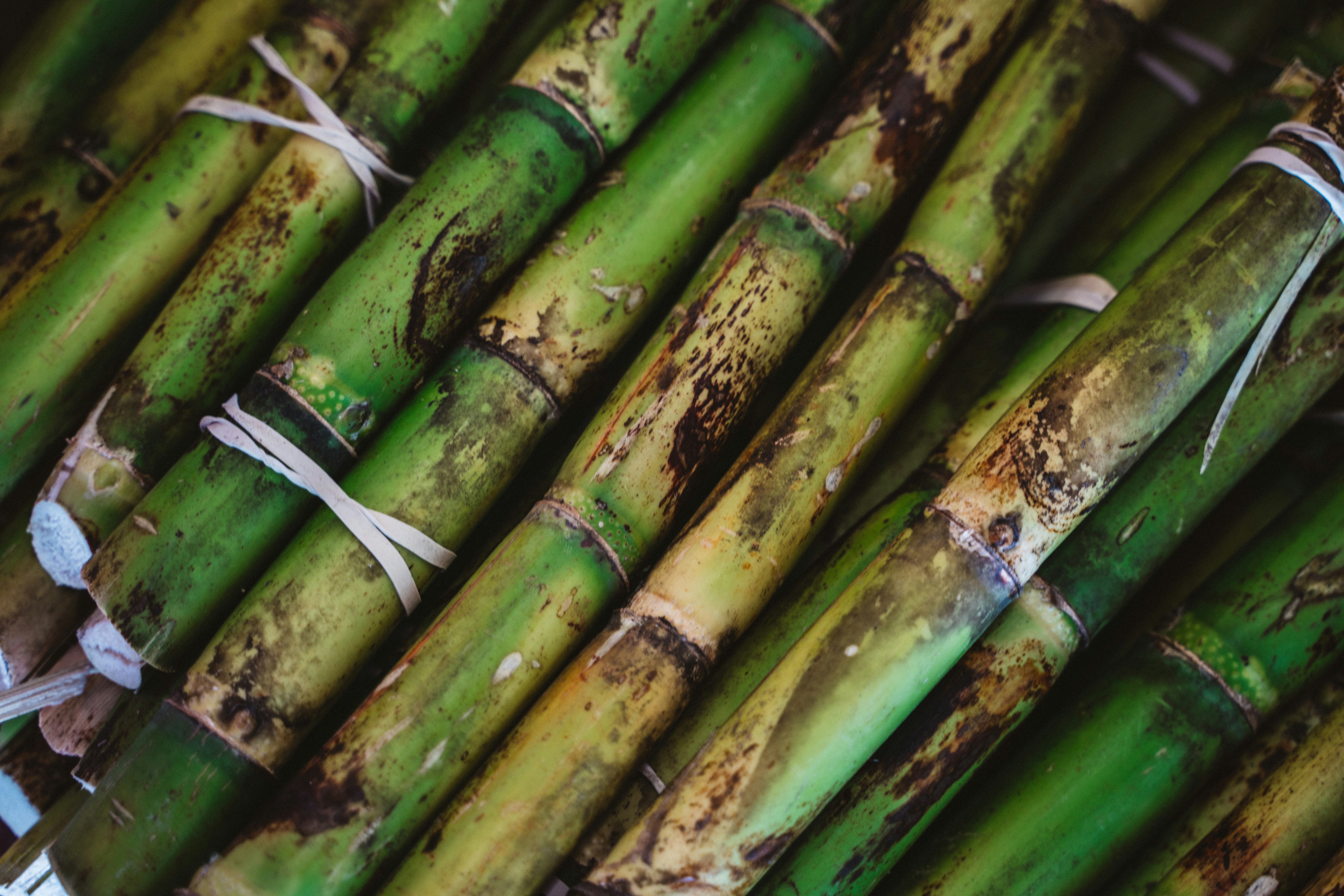 Premium Fuel and Sugar Products