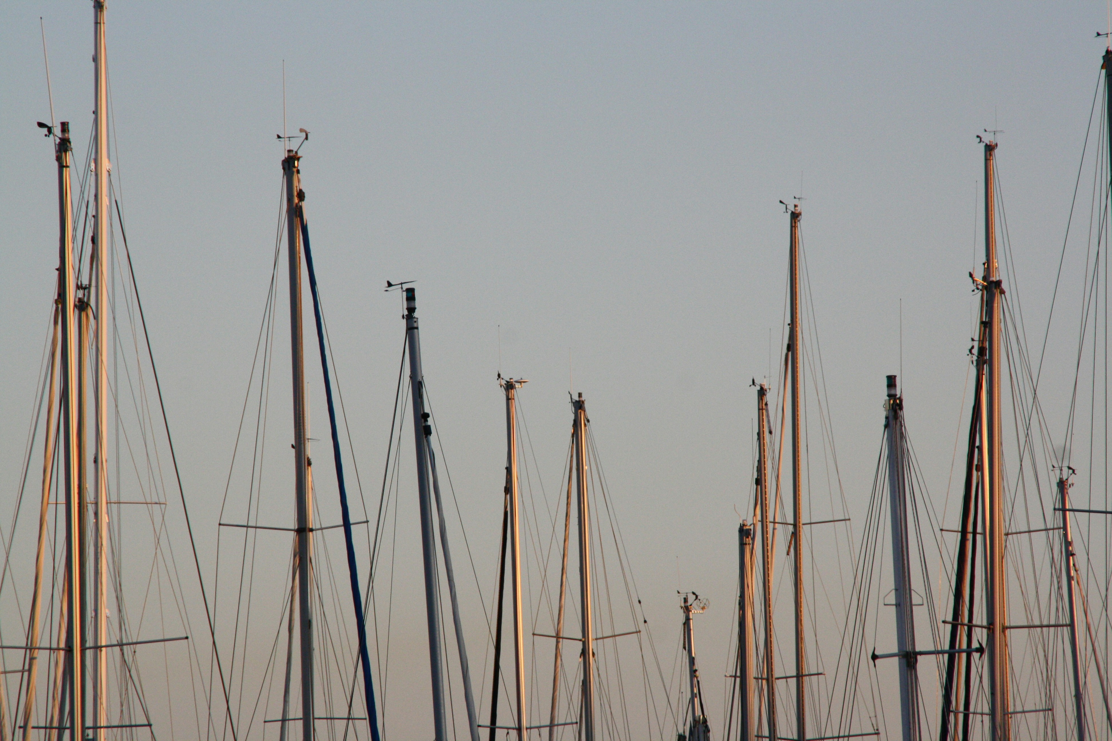 Photo by felix_lemke