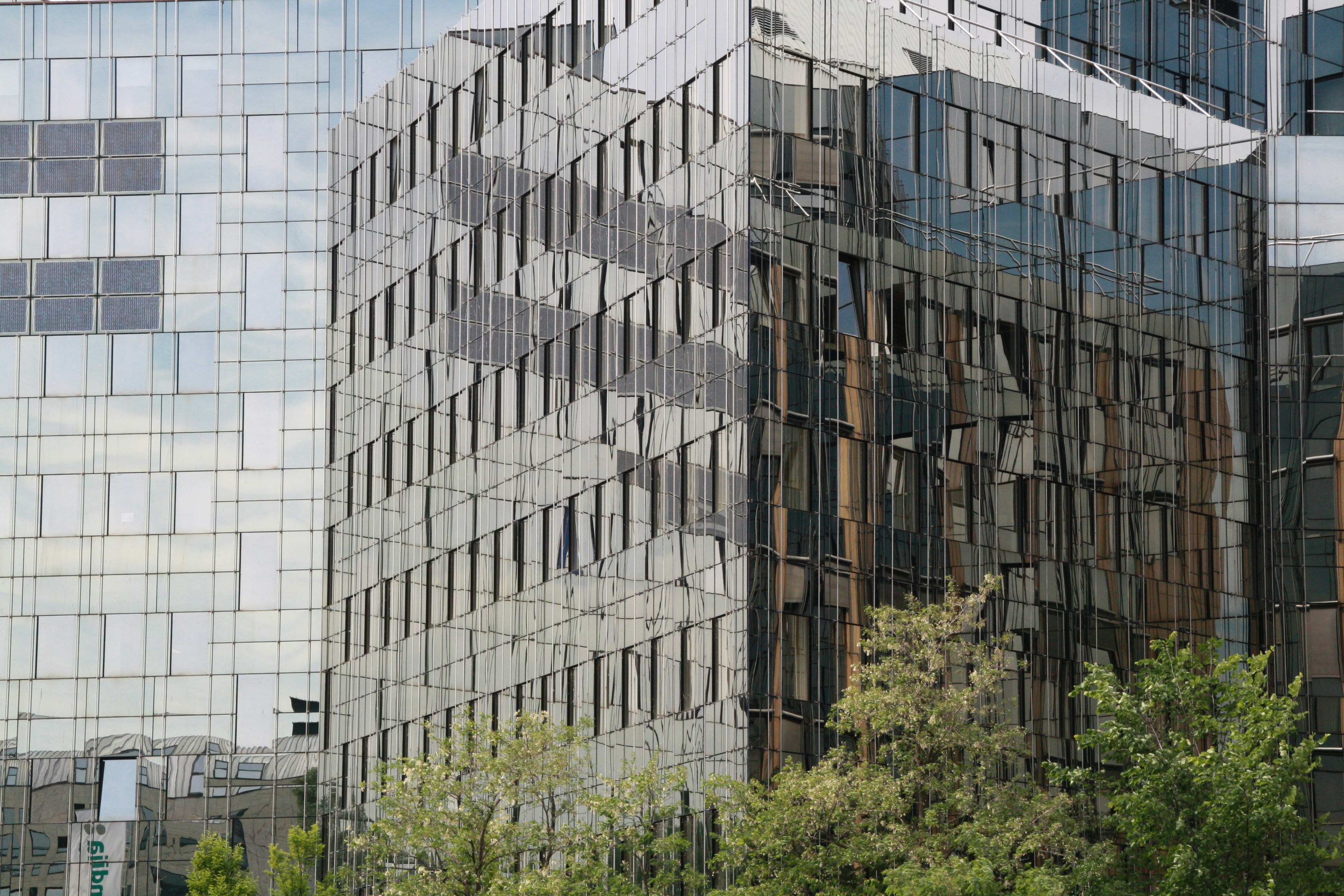 Photo by felix_lemke