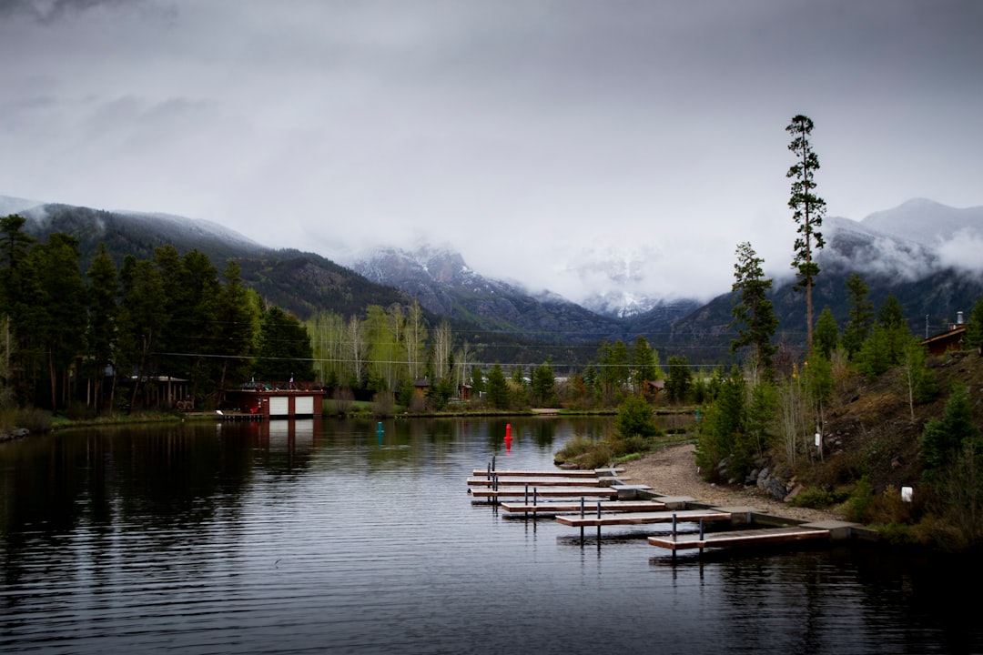 brown wooden dock on lake near green trees and mountain during daytime