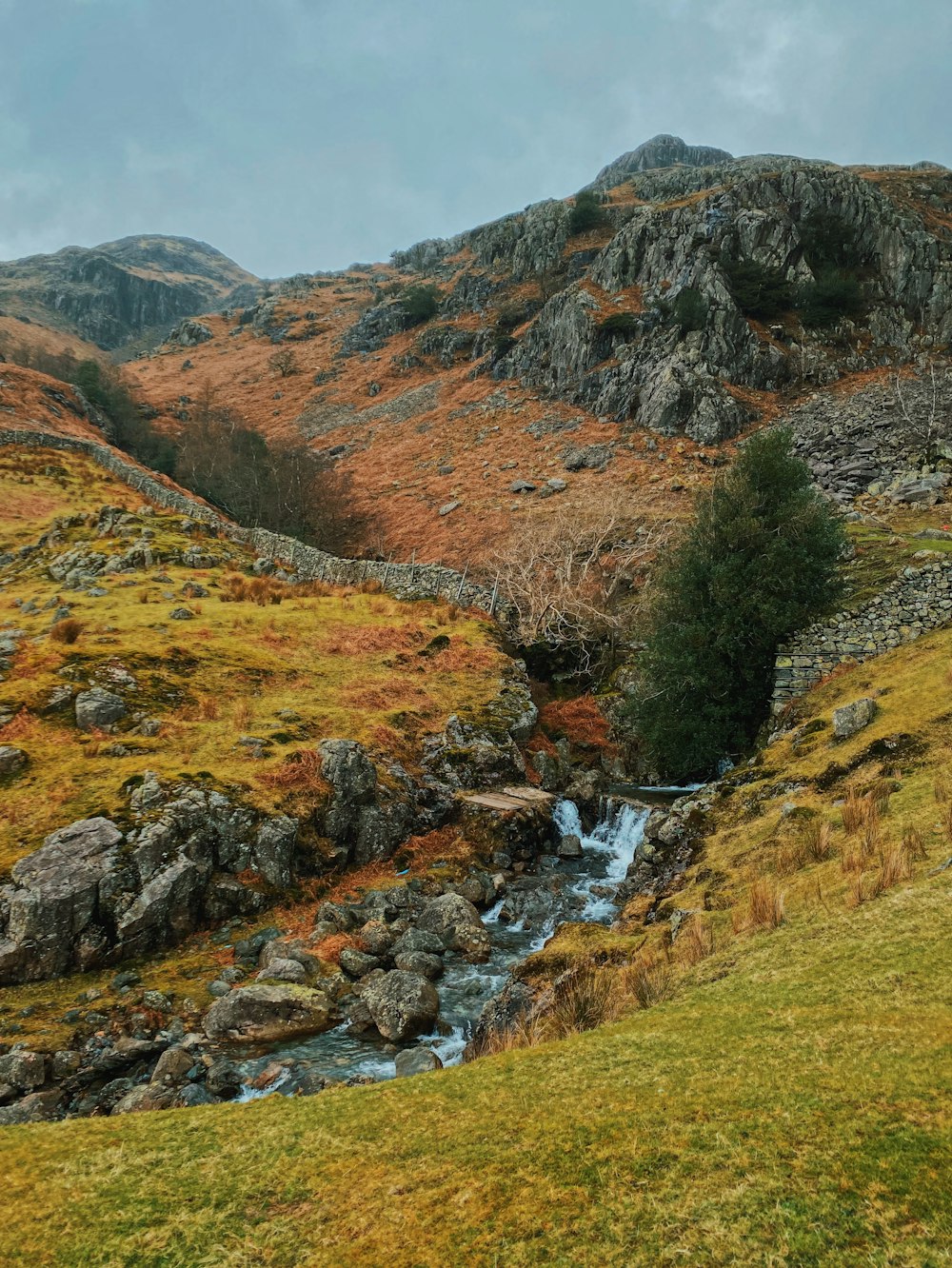 river in the middle of green grass field